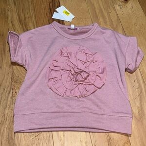 Honey & sparkle girl’s Sz M taupe pink short sleeves terry top NWT